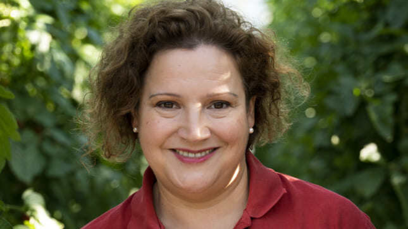 Céline CAMGRAND-VILA - Les Paysans de Rougeline