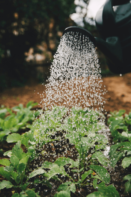 Calculer Trésorerie d'une exploitation agricole Calculer Trésorerie d'une exploitation agricole