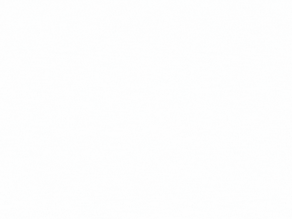 Groupe The French Bastards dans les médias (1)