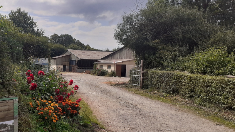 La ferme des capucins, un refuge pour les races Normandes