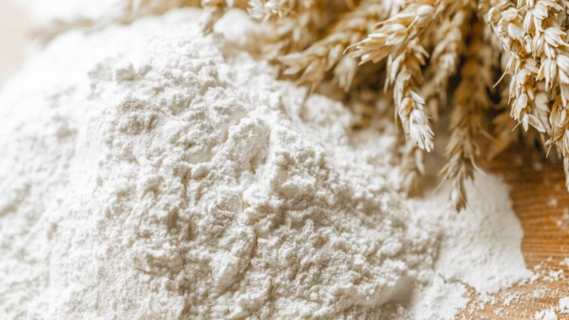 Minoterie Forest  - financement stratégie conquête d’industries consommatrices de farines panifiable