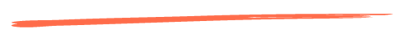 NL_Brush Thin Orange