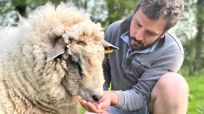Les avranhins de Julien