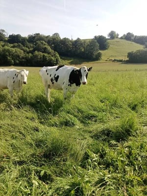 Agriculture regénérative : comment obtenir un financement Agriculture regénérative : comment obtenir un financement