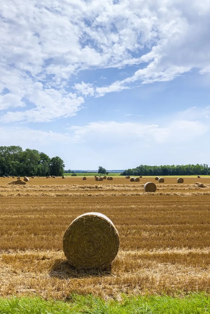 Guide installation ou reprise d'exploitation agricole