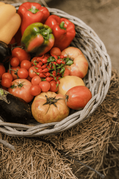 webinar formation financement agroalimentaire webinar formation financement agroalimentaire