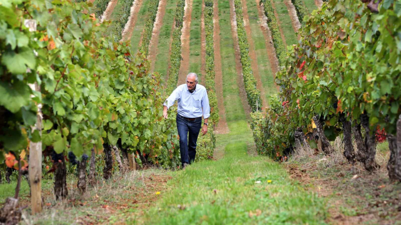 https://miimosa.com/projects/renforcement-d-un-domaine-historique-du-malbec