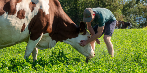 collecte solidaire - DNC