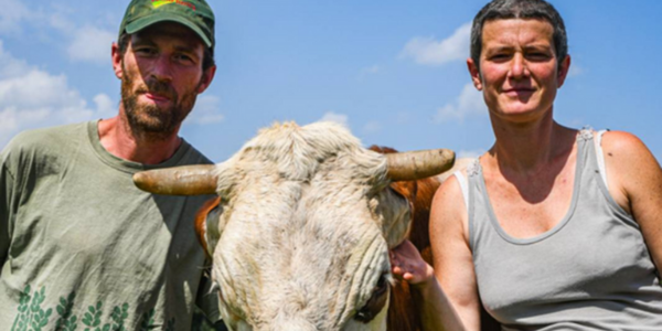 collecte solidaire - Grele