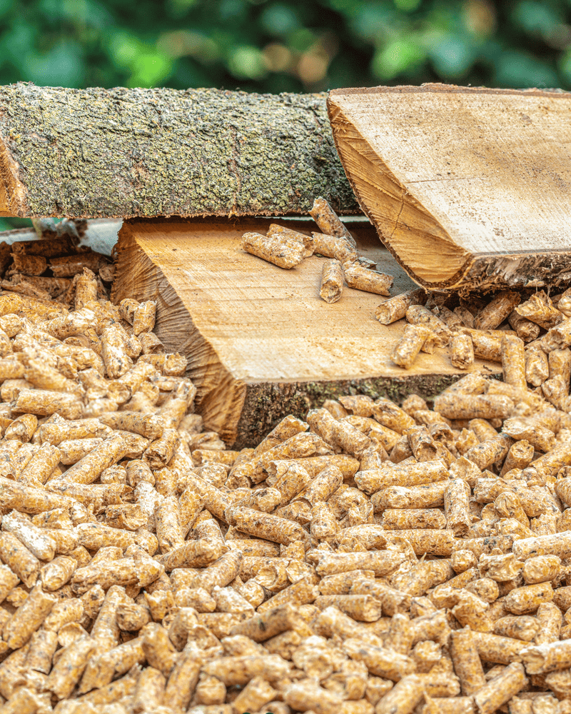 investir - pellet bois dynamis