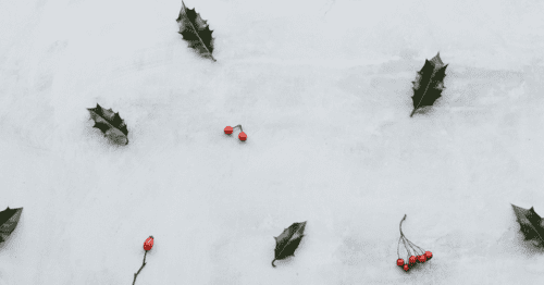 vente_en_ligne_nvente en ligne : Marché de Noël 2022 - écoresponsableoel_2022_ecoresponsable_mobile vente_en_ligne_nvente en ligne : Marché de Noël 2022 - écoresponsableoel_2022_ecoresponsable_mobile